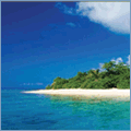 Save 30% on Travel Insurance