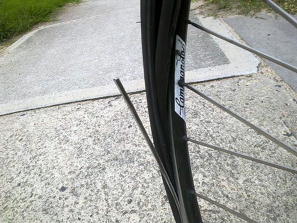 rim_01.jpg