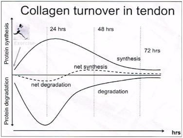 Tendinopathy In Cyclists