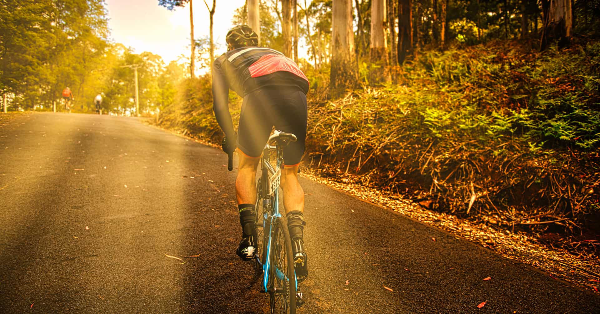 A cyclist rides uphill on a sunlit road through a forest, training for the Peaks Challenge Falls Creek, with beams of sunlight streaming through the trees and casting a warm, golden glow. Another cyclist is visible ahead in the distance.